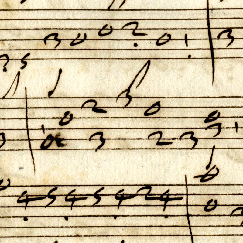 Vignette du projet Les tablatures de la collection Albani
